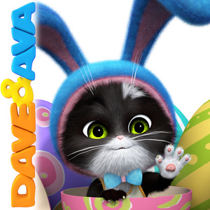 69视频免费观看
